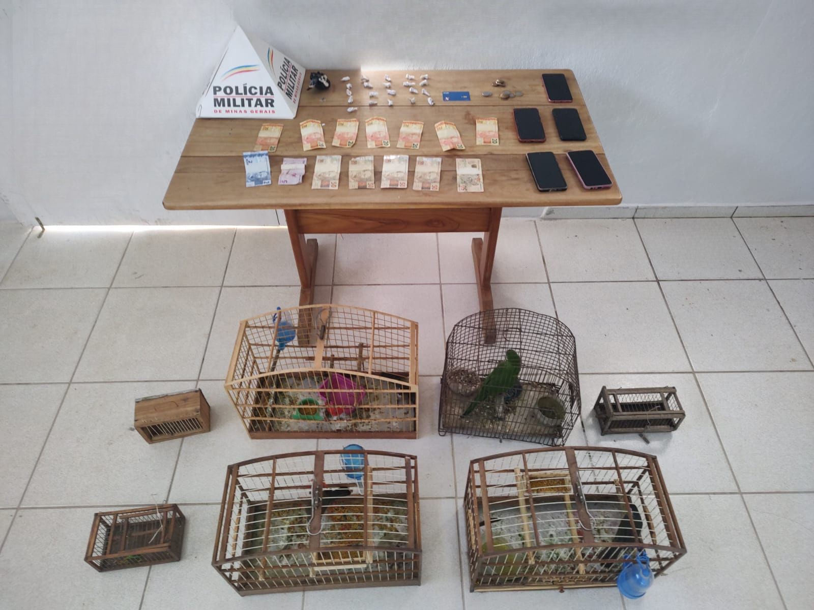 'Família do tráfico': casal é preso com drogas e pássaros silvestres em MG
