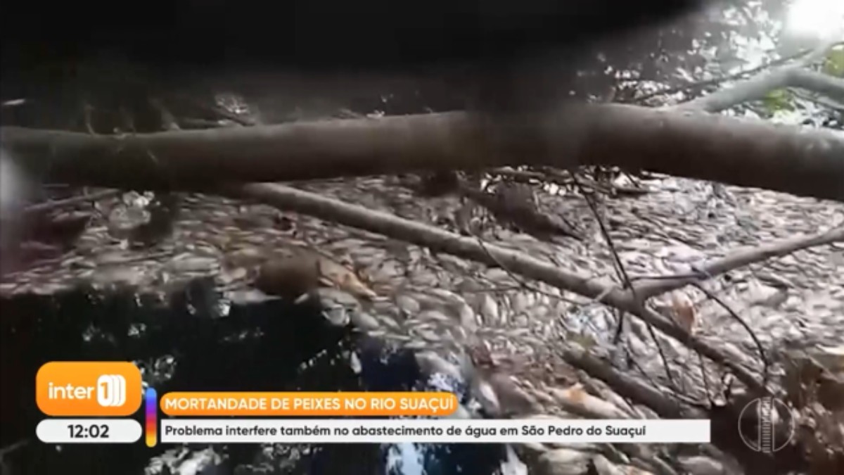 Espuma e mortandade de peixes no Rio Suaçuí geram alerta em MG