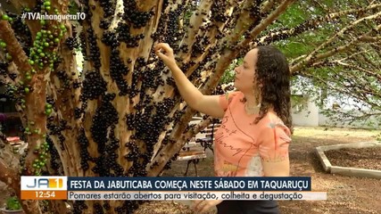 Festa da Jabuticaba começa neste sábado (10), em Taquaruçu