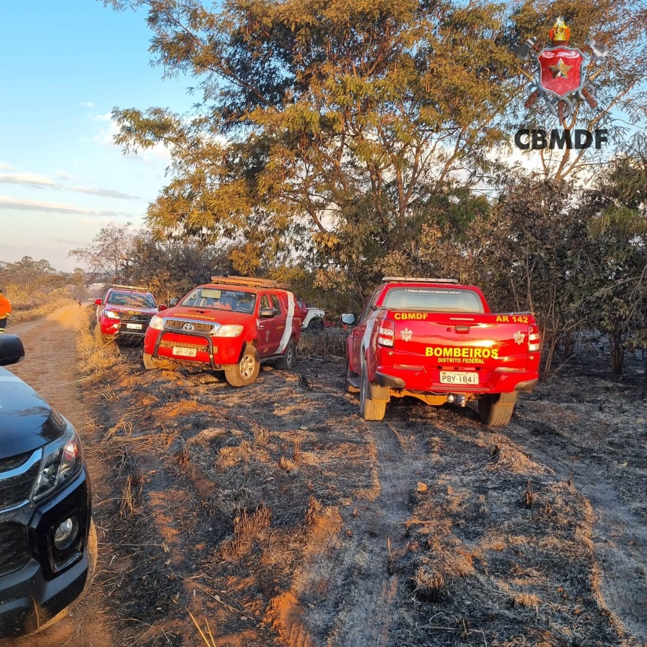 Dois servidores do IBGE morrem carbonizados em incêndio florestal entre Santa Maria e São Sebastião, no DF