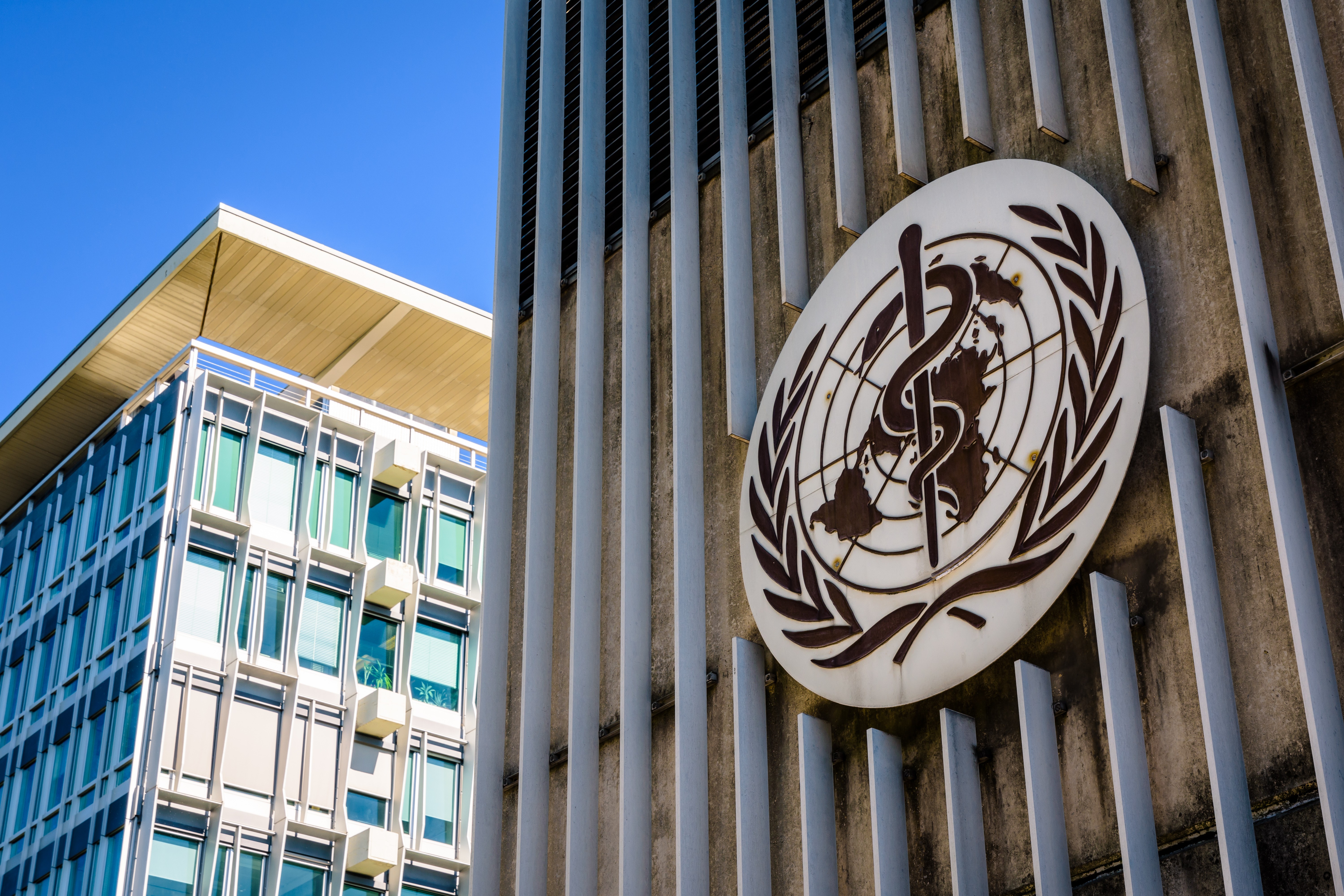 OMS aprova proposta do Brasil para incluir feminicídios na Classificação Internacional de Doenças