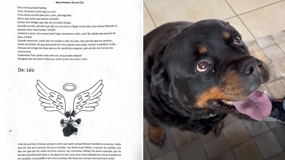 Clínica veterinária entrega cartão de despedida aos tutores com assinatura da pata do cachorro Léo em São José do Rio Preto (SP) — Foto: Arquivo pessoal