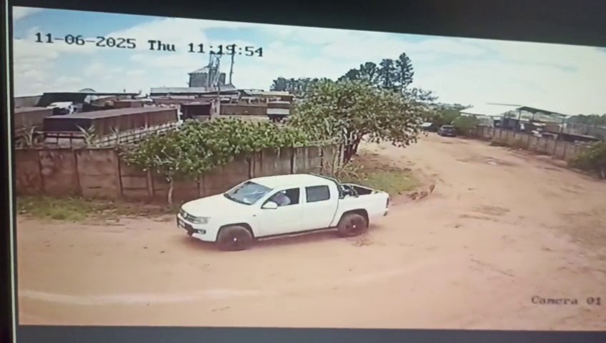 Vice-prefeito de Cerqueira César invade canil municipal e leva cadela de raça que estava internada; vídeo