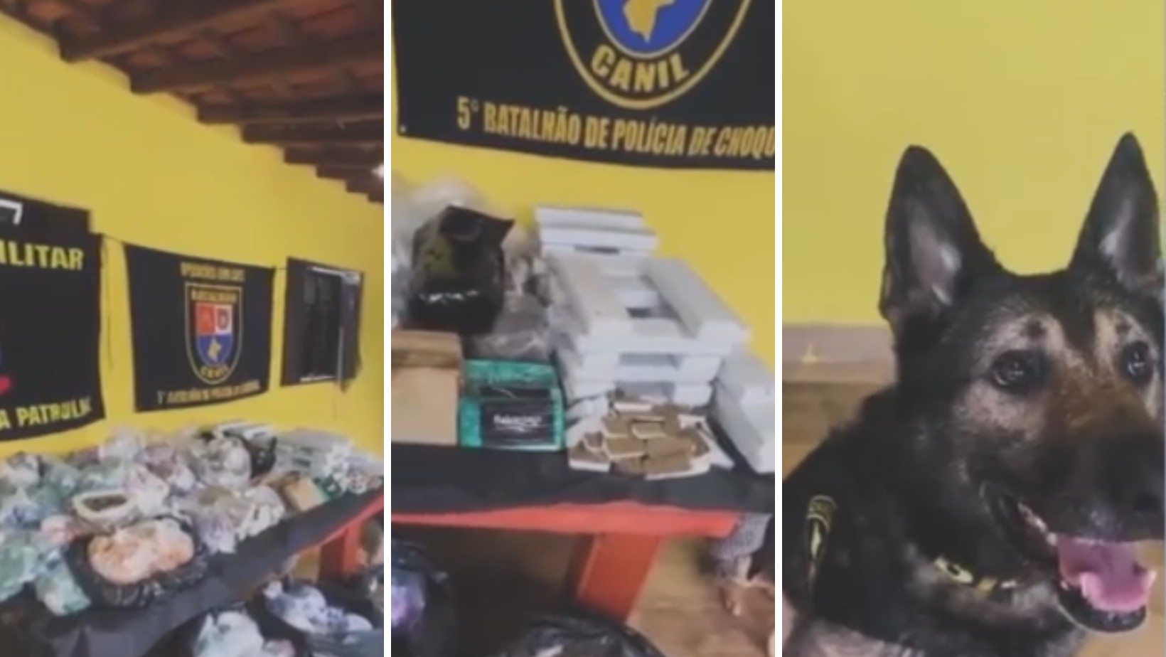 Sete homens são presos e mais de 140 kg de drogas são apreendidos em operação da PM em Nazaré Paulista