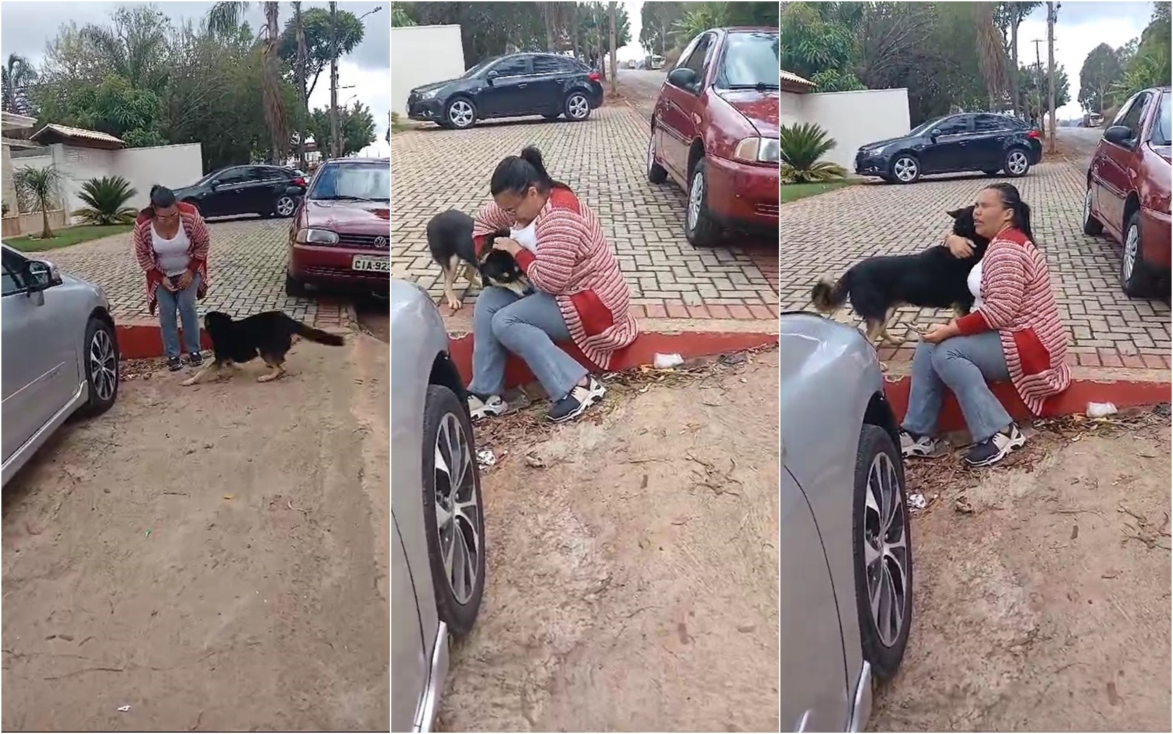 VÍDEO: Após 11 dias, tutora reencontra cão perdido com ajuda das redes sociais em cidade a mais de 30 km de distância