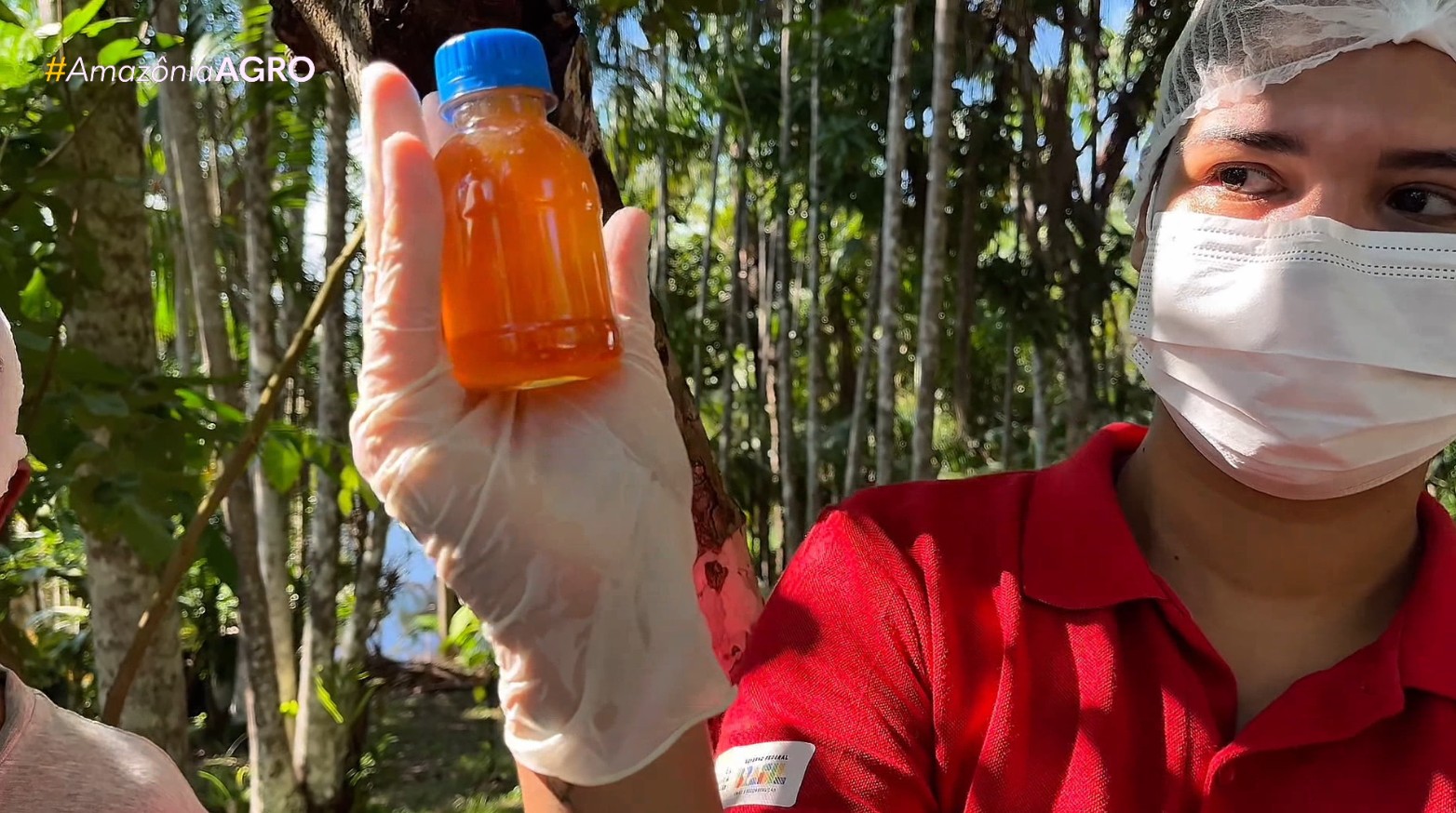 Projeto impulsiona produção de mel na Amazônia