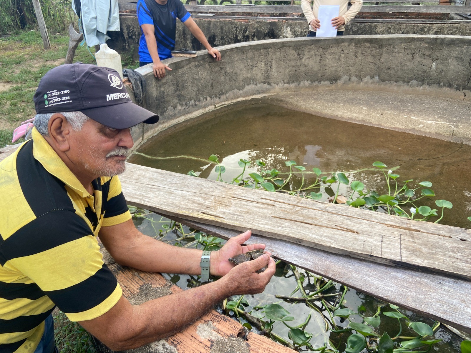 Projeto comunitário em Oiapoque ajuda a preservar tartarugas e tracajás no Rio Cassiporé, no AP
