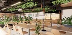 Cafeteria da Assembleia de Deus Fonte de Vida � Foto: Divulga��o