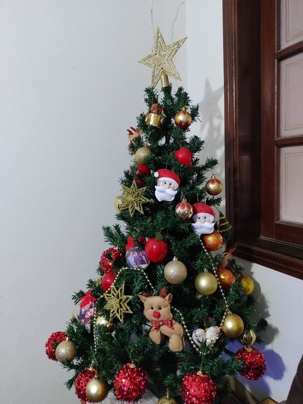 Natal e aniversário: decoração e shows nas festas de Sertãozinho - RecordTV  Interior SP - R7 SP Record