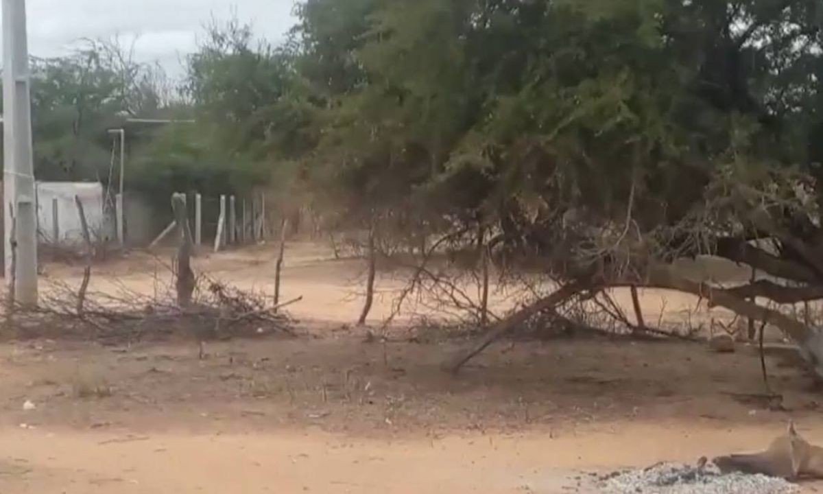 Duas pessoas da mesma família morrem eletrocutadas após tocar em cerca na Bahia