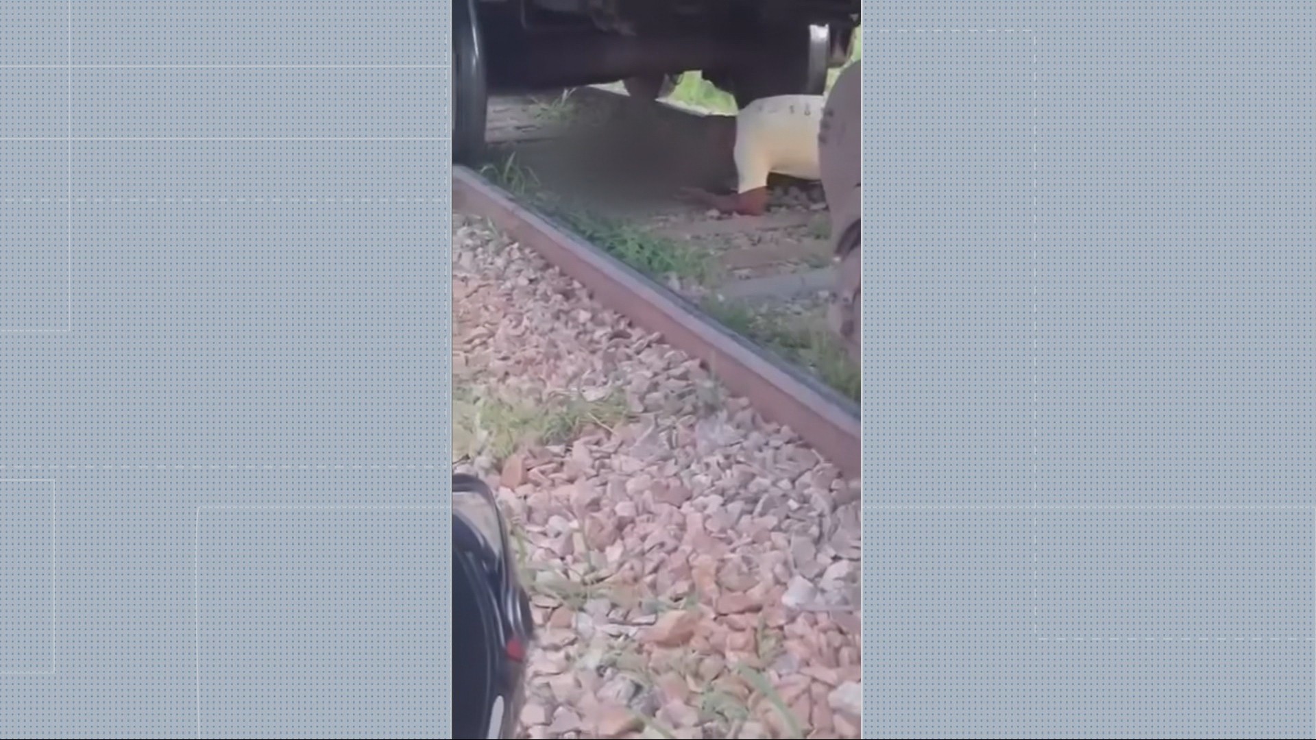 Mulher é atropelada por trem em BH e sobrevive; VÍDEO