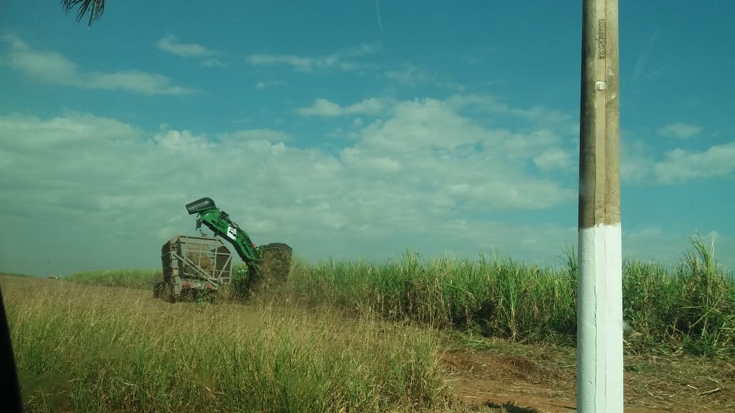 Preços do etanol e açúcar registram alta pelas usinas paulistas em junho; entenda motivos