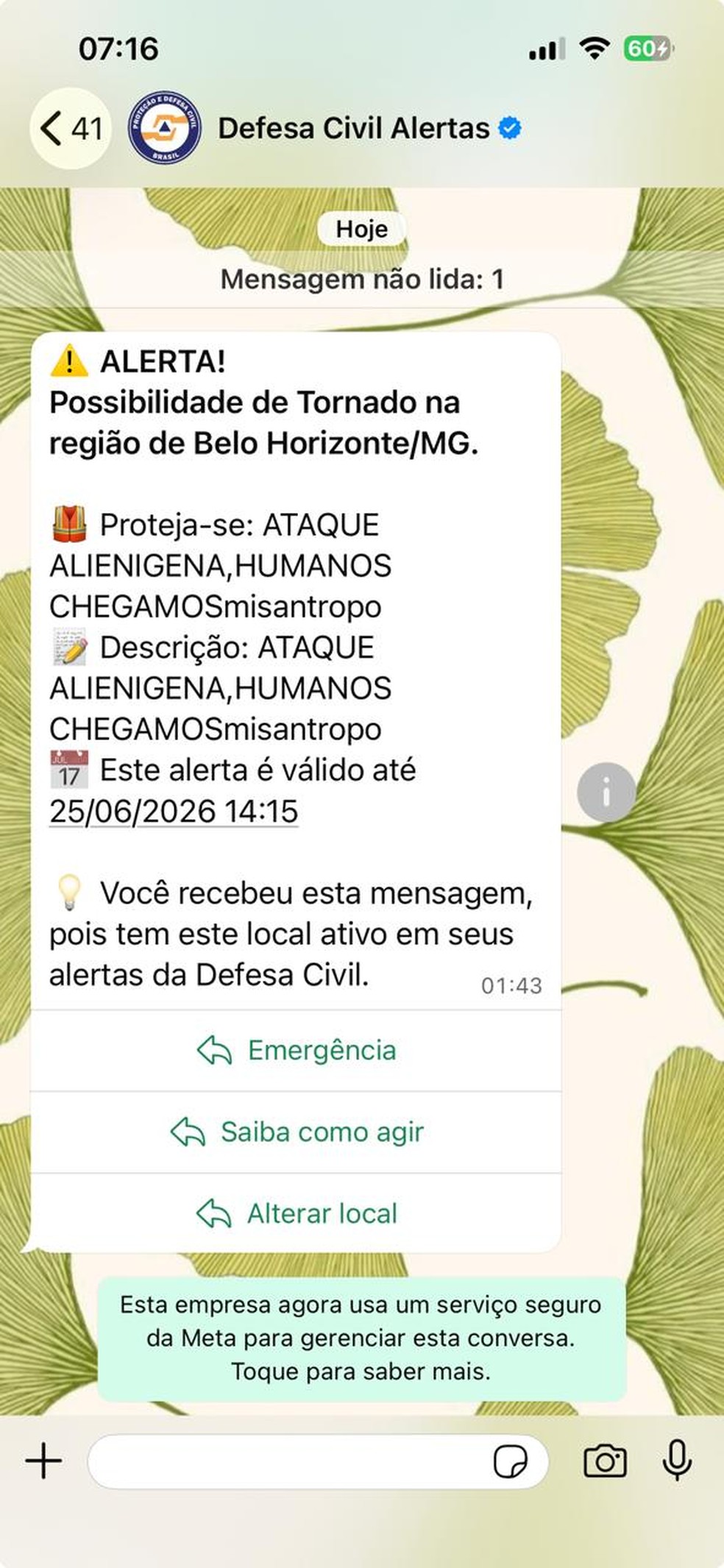 Mensagem recebida por moradora em BH — Foto: TV Globo