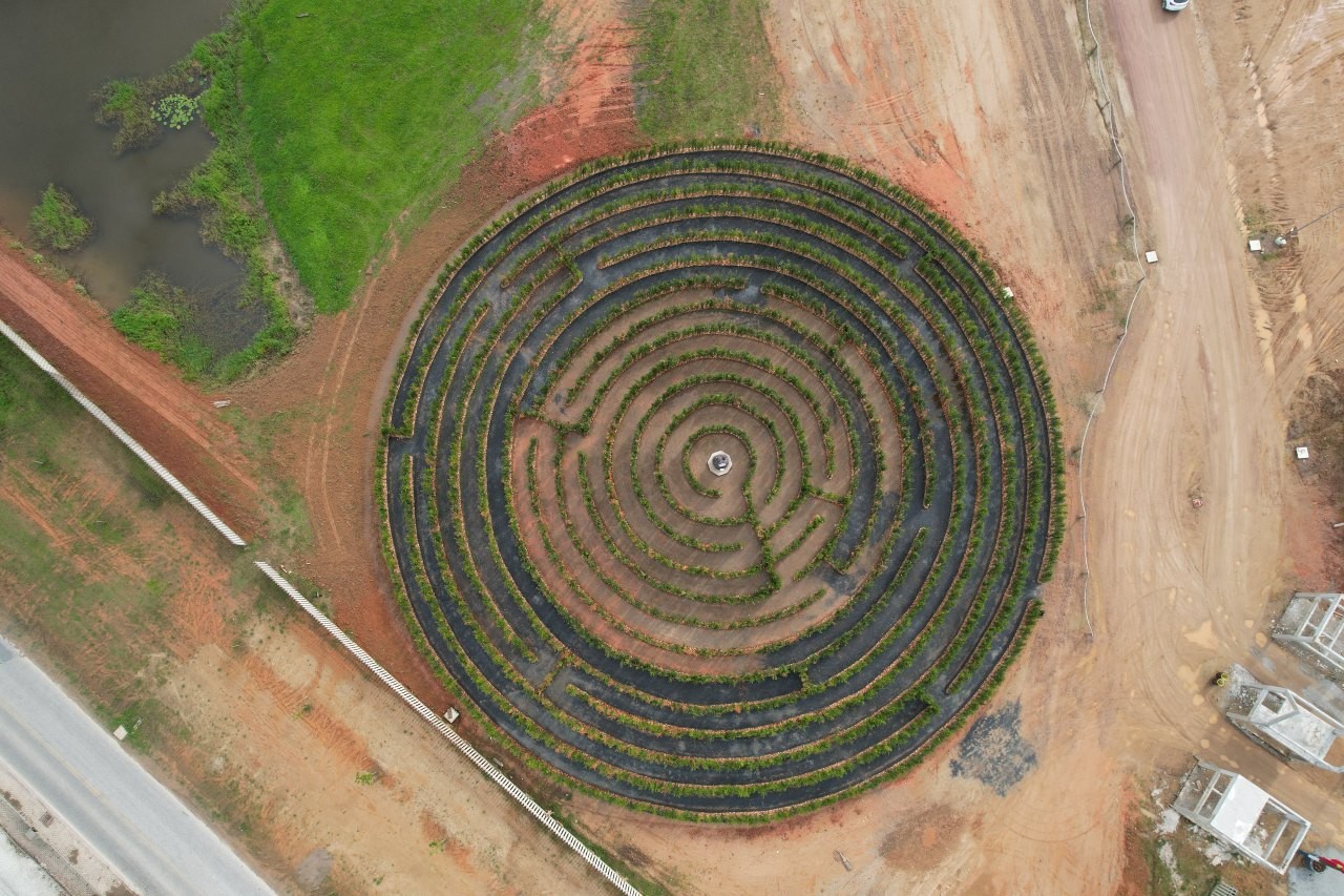 Labirinto formado por 6,5 mil árvores desafia aventureiros e surpreende com 'Papai Noel do Mato' em SC