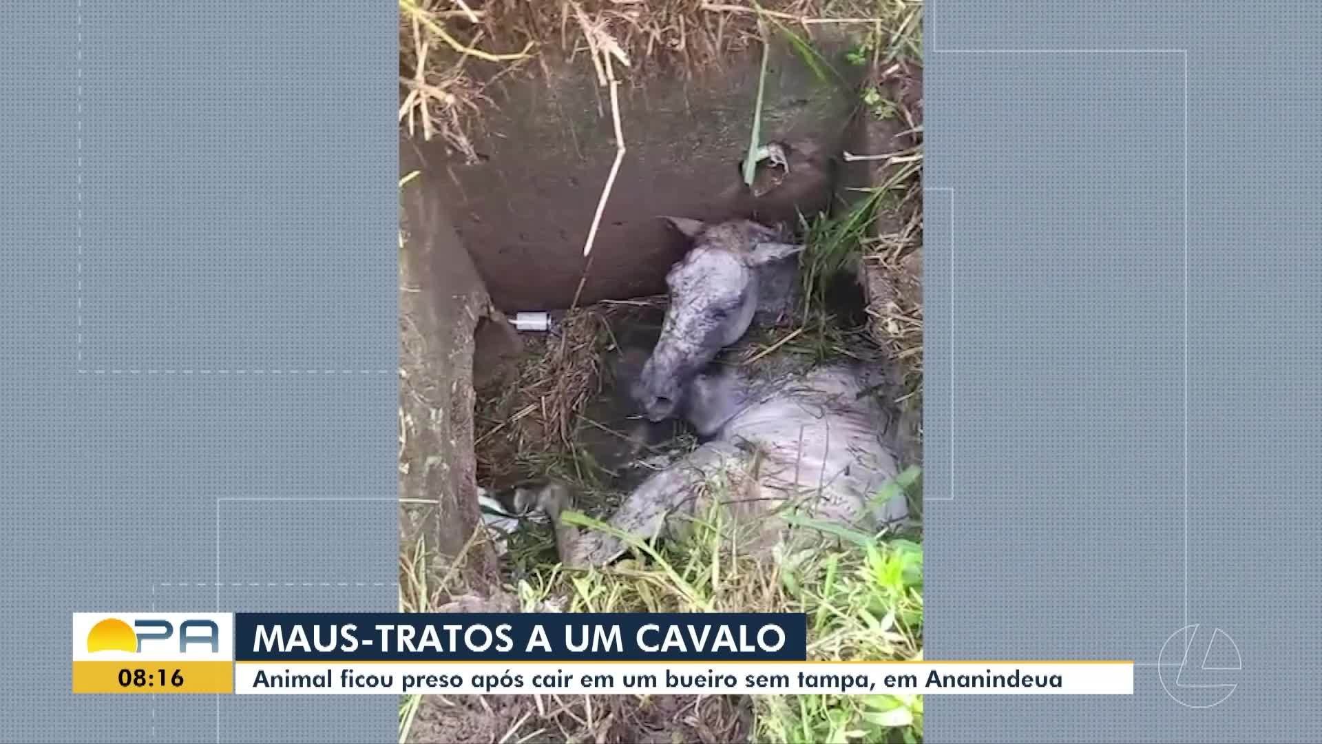 VÍDEOS: BDP de segunda-feira, 16 de março de 2026  