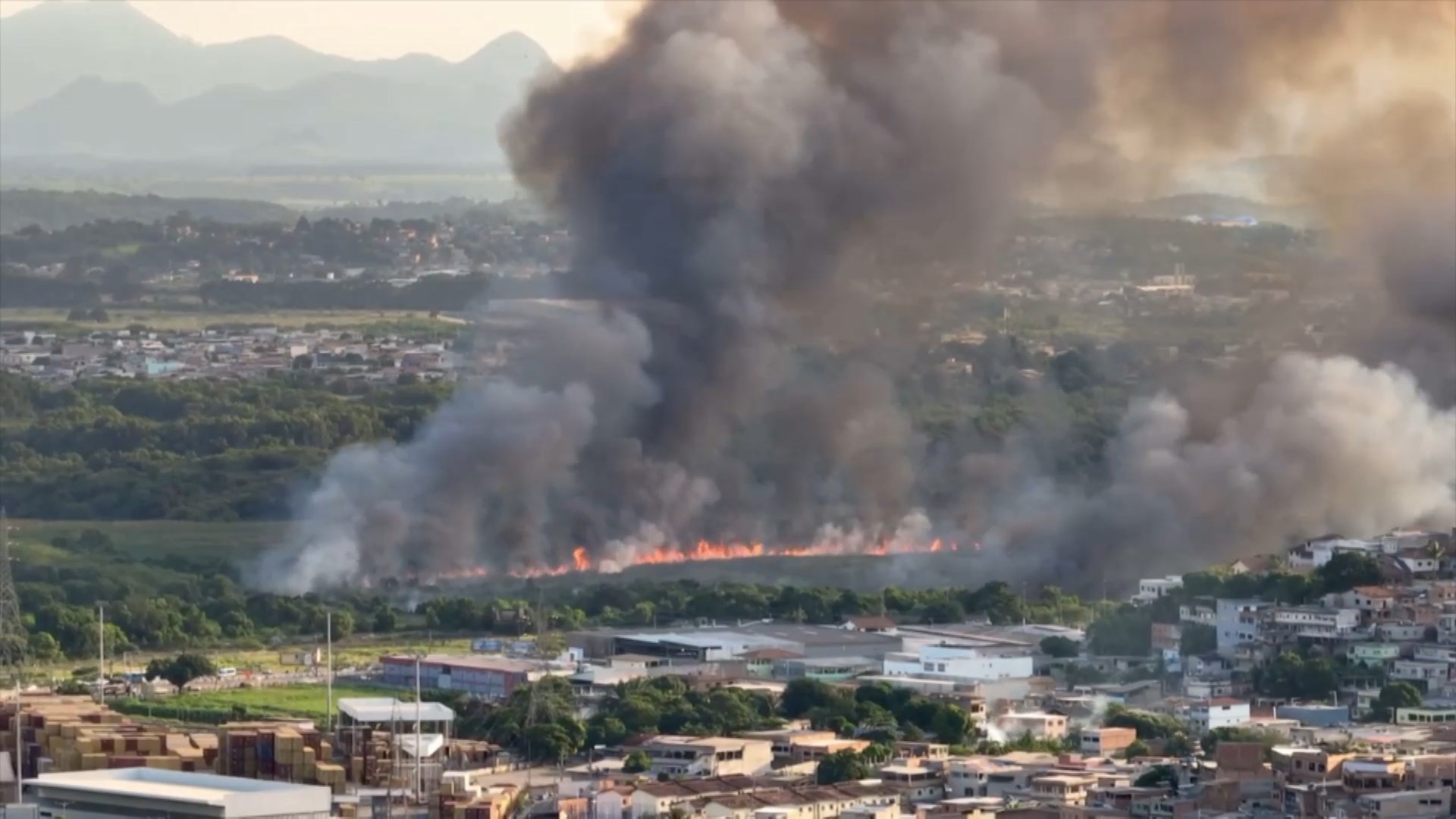 Incêndio em área de vegetação mobiliza bombeiros em Vila Velha