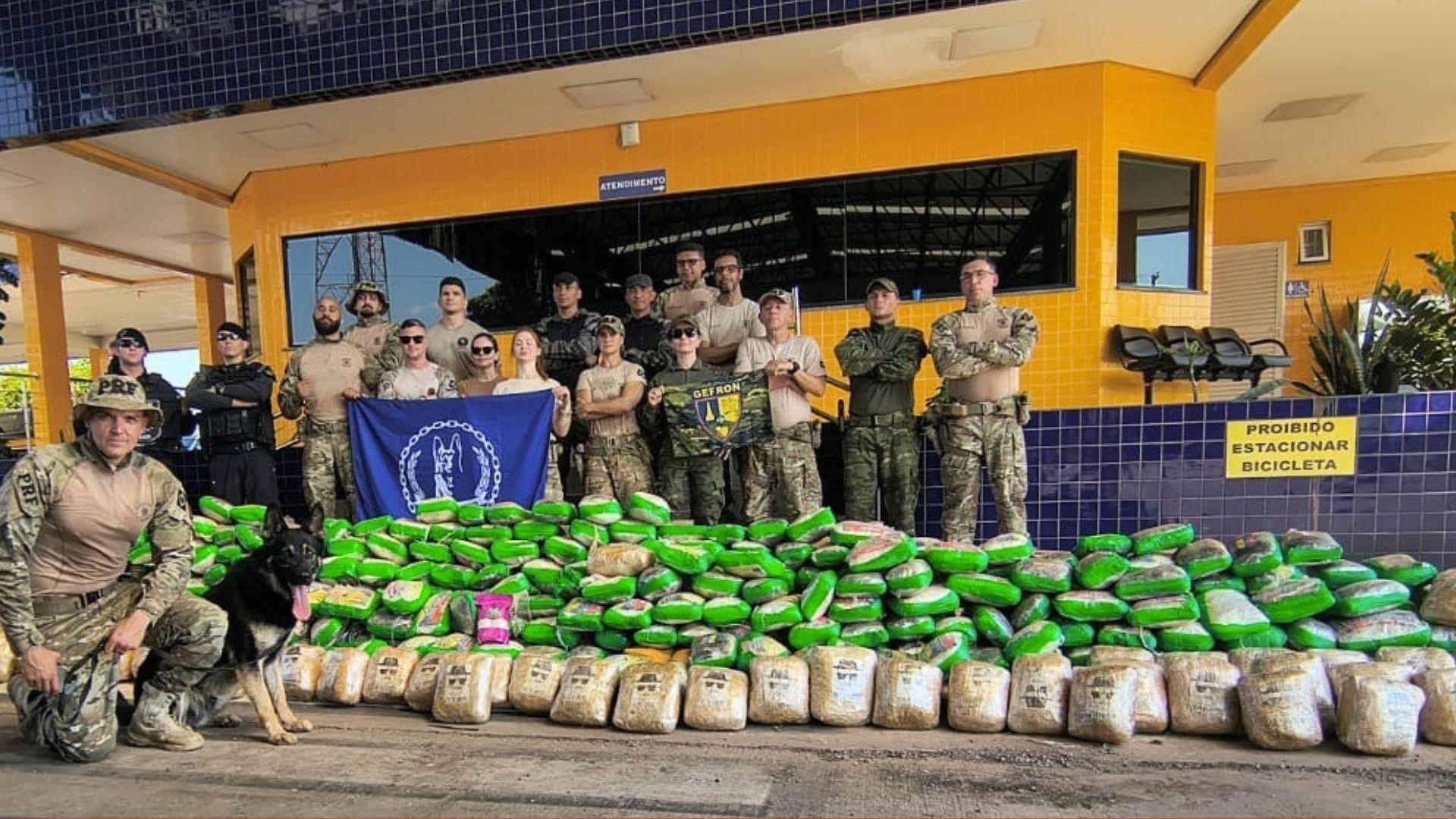 PRF prende casal em MT que transportava quase meia tonelada de drogas em caminhão de mudança