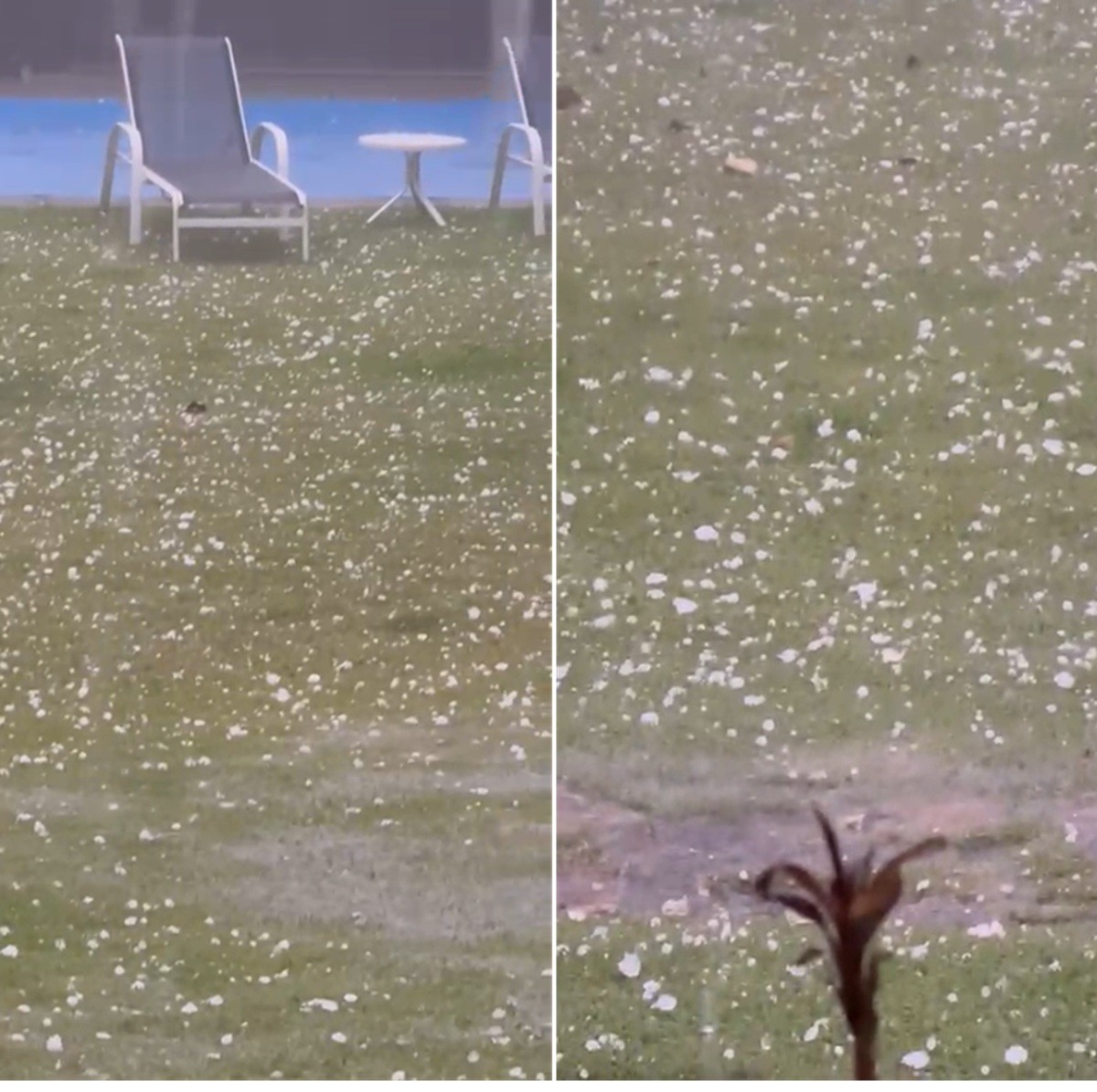 Chuva forte com granizo causa alagamentos e quedas de árvores na Região Serrana do RJ