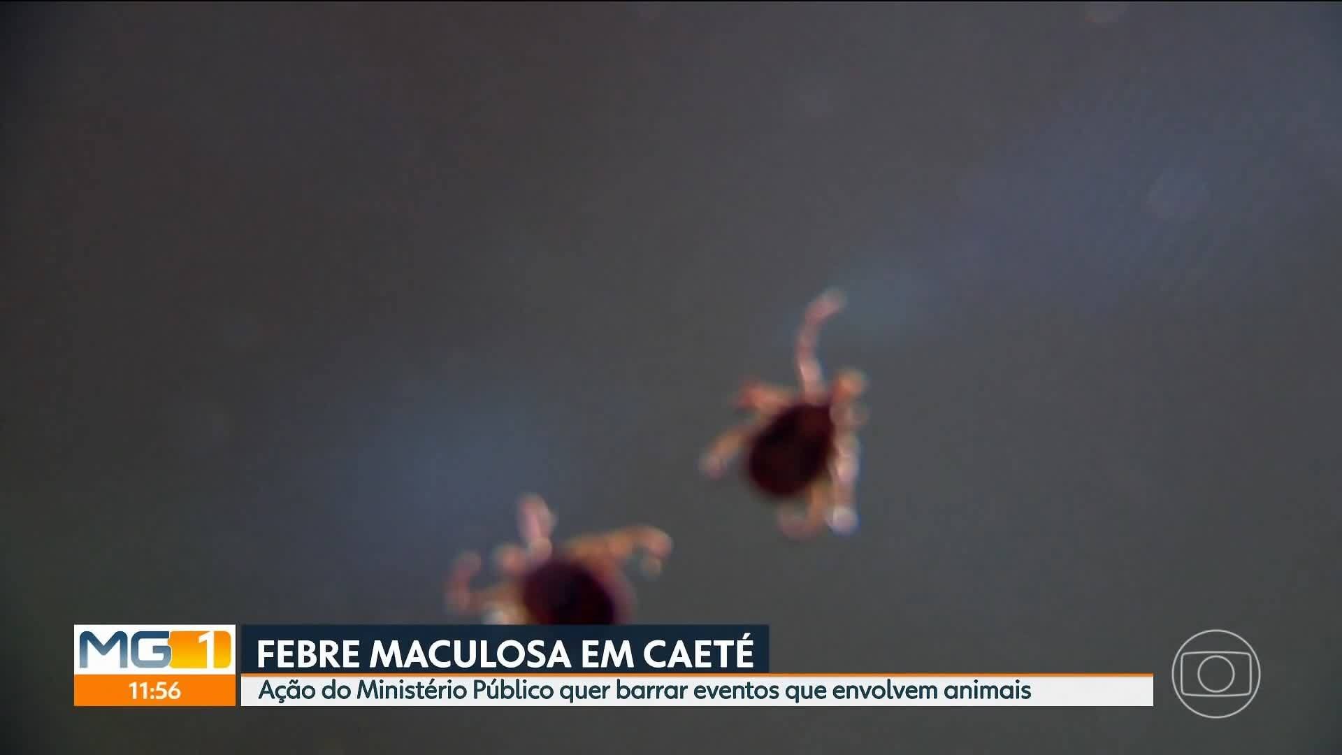 VÍDEOS: MG1 de sábado, 4 de outubro de 2025