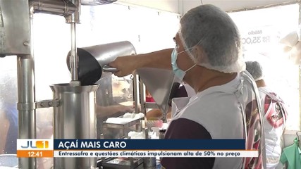Preço do açaí tem alta de 50% em Belém