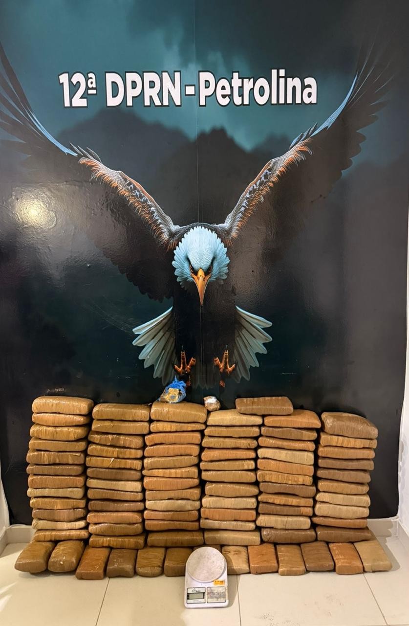 Mulheres são presas com 43 kg de maconha em Petrolina