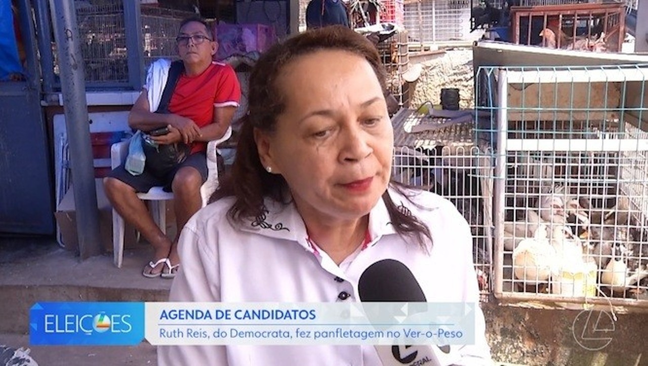 Ruth Reis propõe reduzir alíquota do ICMS para atrair novos investimentos no Pará