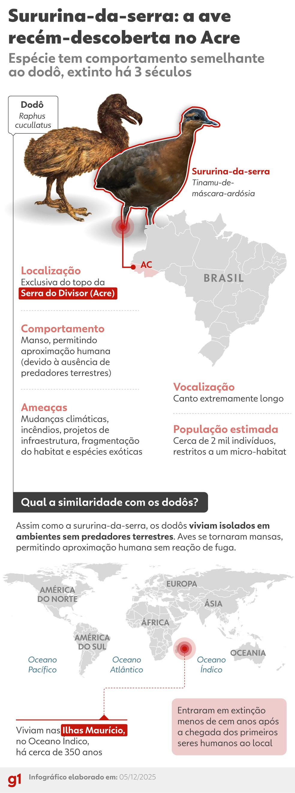 INFOGRÁFICO: as semelhanças sururina-da-serra e o extinto dodô — Foto: Arte g1