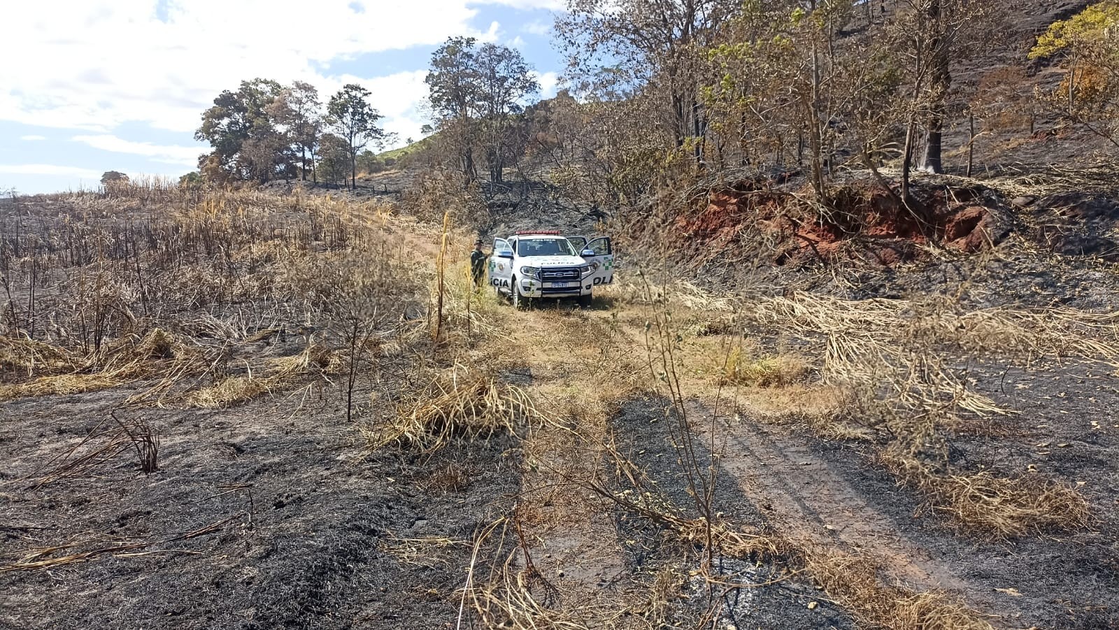Polícia Ambiental flagra queimadas em de 140 hectares na região de área de conservação em Piracicaba e aplica R$ 157 mil em multas  