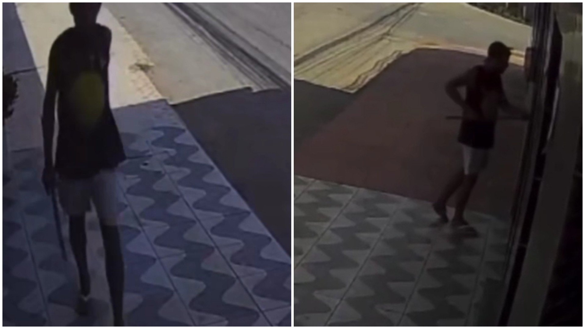 Vídeo: Homem usa cabo de vassoura para puxar e furtar bolsa de dentro de casa