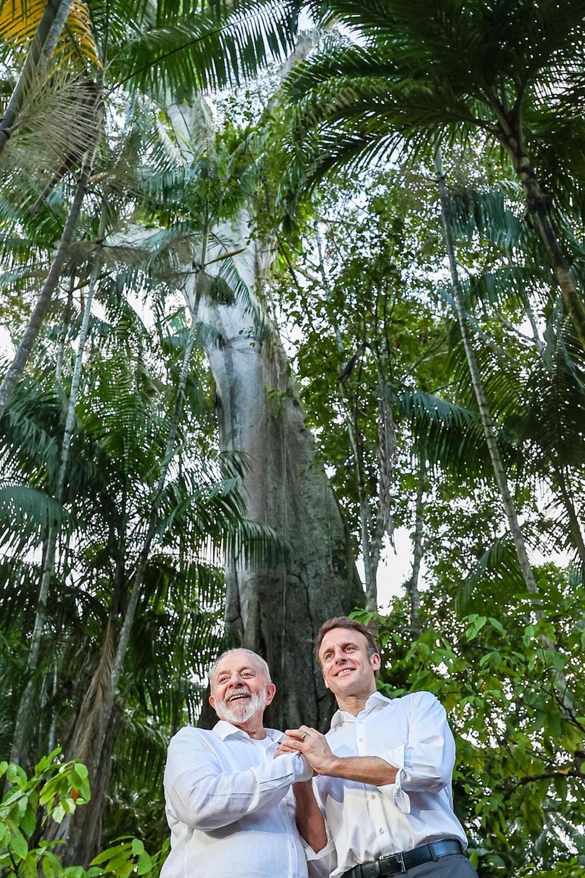 Lula e Macron anunciam programa de investimento de 1 bilhão de euros na bioeconomia da Amazônia do Brasil e Guiana | Política