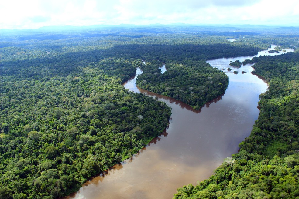 Floresta Estadual do Paru tem aproximadamente 50 mil hectares e está localizada no município de Monte Alegre, no oeste do Pará — Foto: Divulgação/Ideflor-Bio