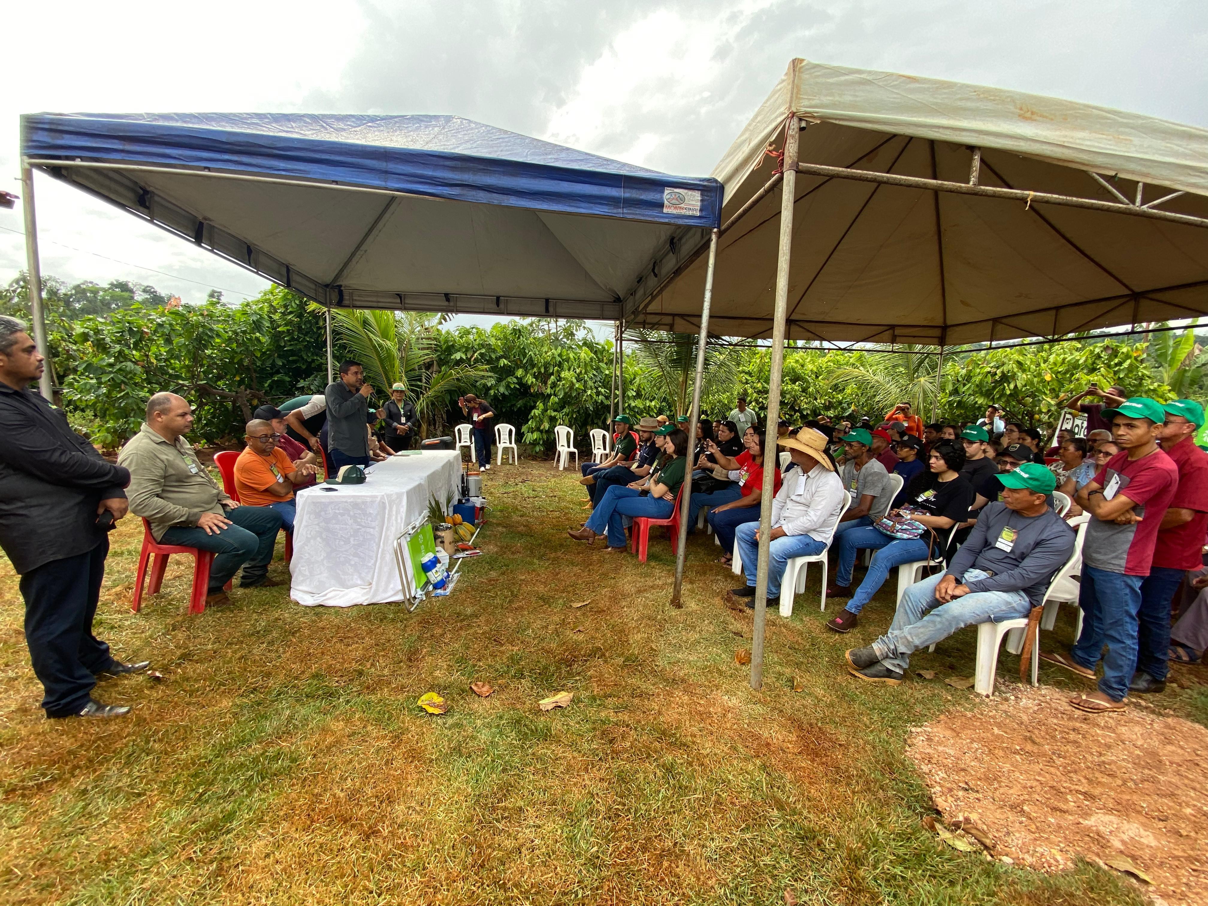 Dia de campo reúne agricultores em capacitação sobre produção de mudas e beneficiamento do cacau no município de Rurópolis