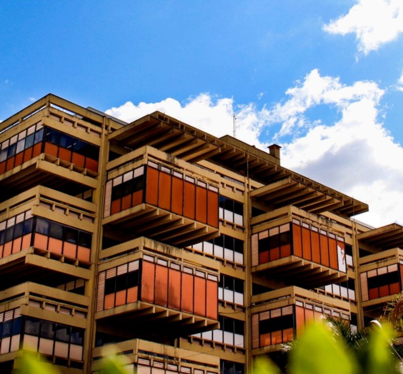 Do Pantanal à capital: conheça todos os museus de MS onde ficam e como visitar