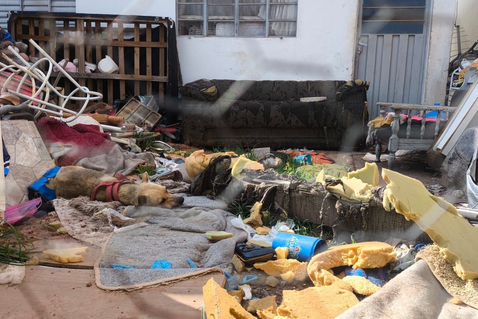 Mulher é detida e multada em R$ 3 mil ao deixar cão em situação de maus-tratos e sem ração em Presidente Prudente (SP) — Foto: Reprodução/Polícia Ambiental