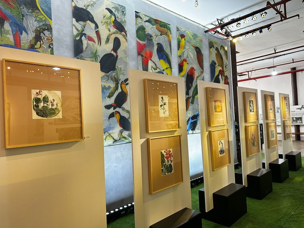 Exposição no Aeroporto de Natal — Foto: Divulgação