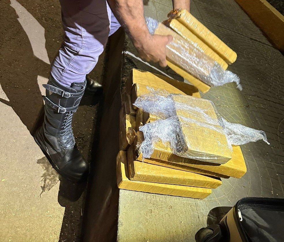 Tabletes de maconha foram apreendidos em Presidente Epitácio (SP) — Foto: Polícia Militar Rodoviária