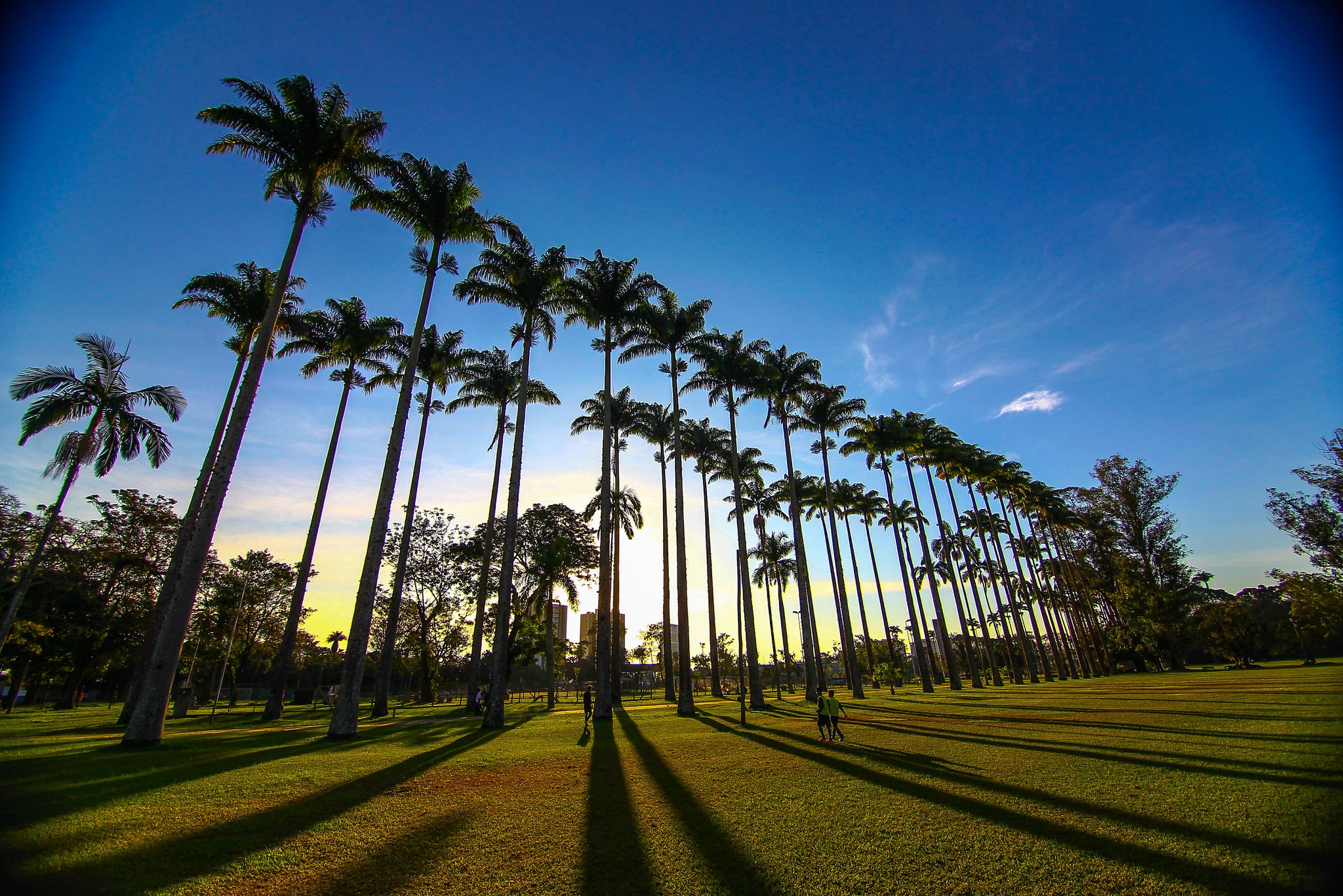 Câmara de São José dos Campos aprova concessão do Parque da Cidade à iniciativa privada por 35 anos
