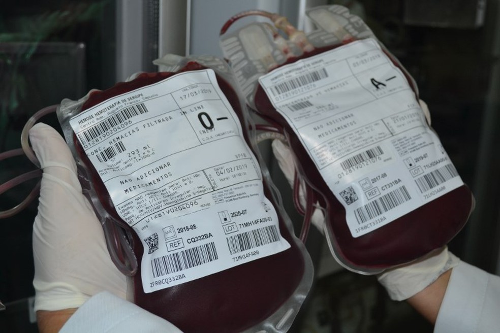 Bolsas de sangue no Hemose, em Sergipe — Foto: ASN/Divulgação