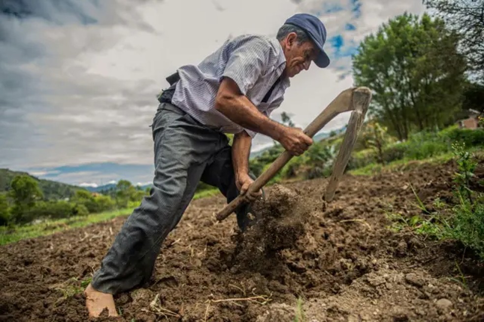 Agropecuária foi o único setor com crescimento em outubro — Foto: Ernesto Benavides / Getty Images