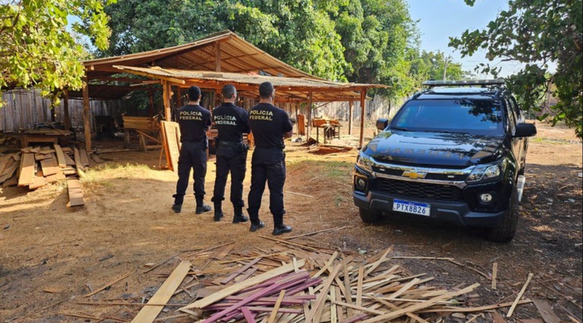 Suspeita de vender madeira ilegal em Terra Indígena no MA é presa em flagrante pela Polícia Federal