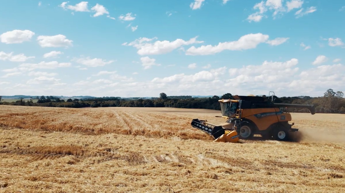 Cooperativas se unem para investir em tecnologia e conquistar mercado: entenda o que é a intercooperação | Agro Riqueza dos Campos Gerais