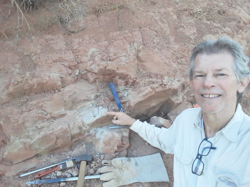 Paleontólogo Willian Nava descobriu fóssil em formação às margens de rodovia de Marília (SP) — Foto: Willian Nava/Arquivo pessoal