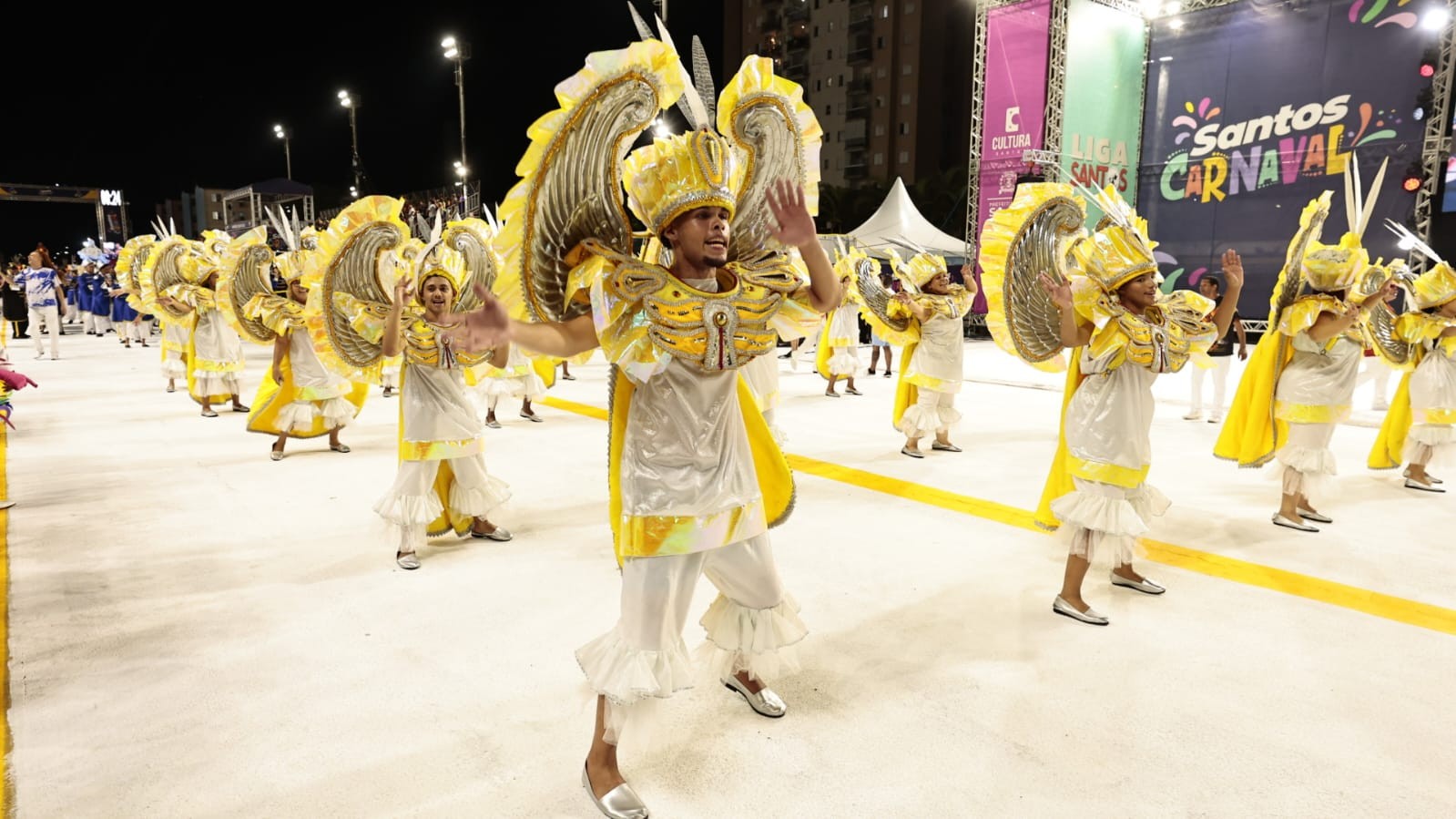 Celebridades, cultura santista, africana e fábulas marcam o 1º dia dos desfiles das escolas em Santos