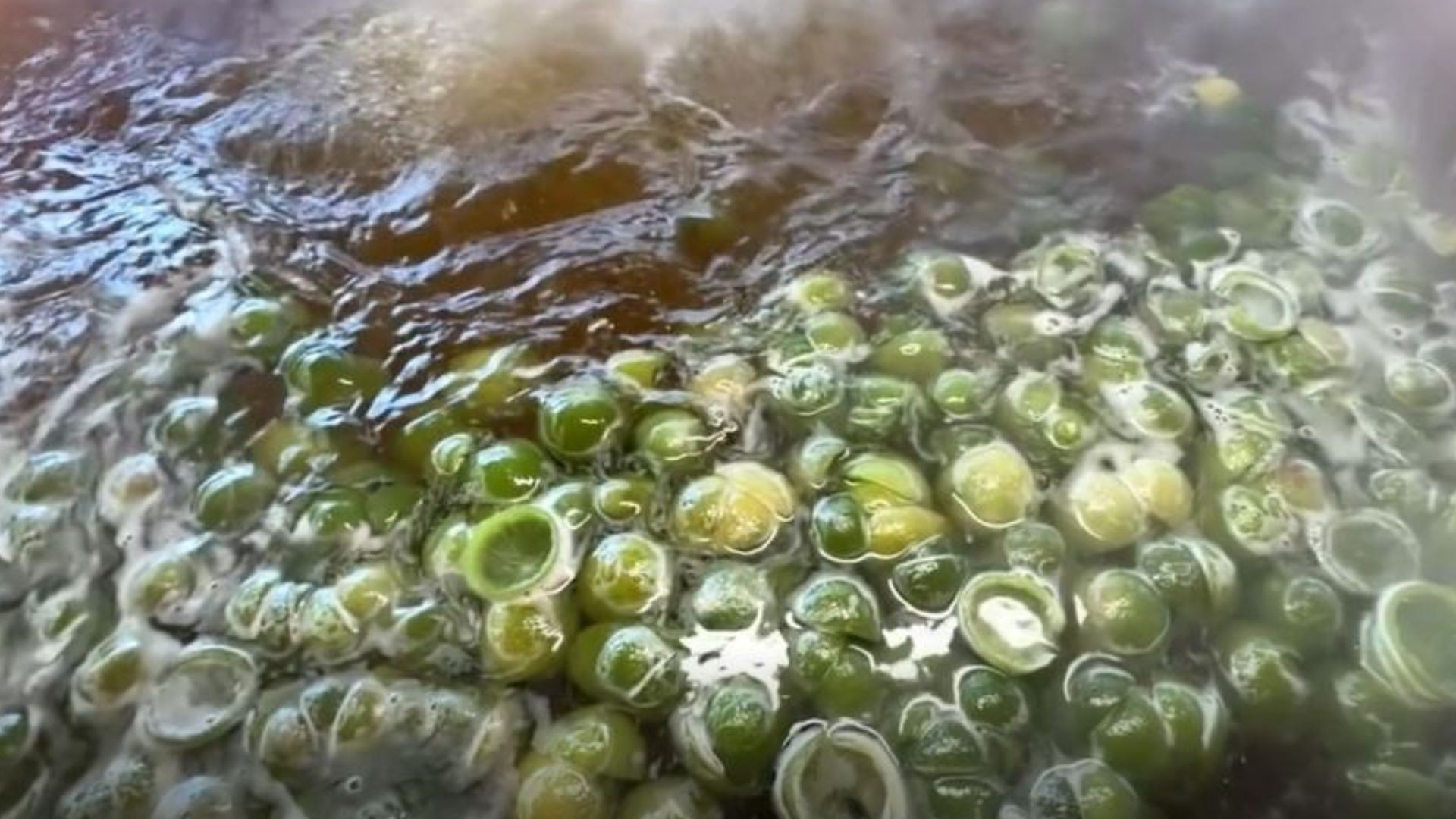 Doce da casca do limão: Jornal do Campo ensina receita que leva apenas três ingredientes