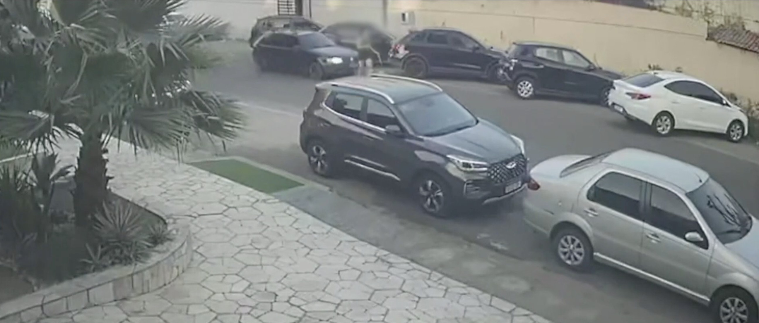 Mulher é atropelada enquanto passeava com cachorro em Mossoró; motorista foi preso após fugir sem prestar socorro