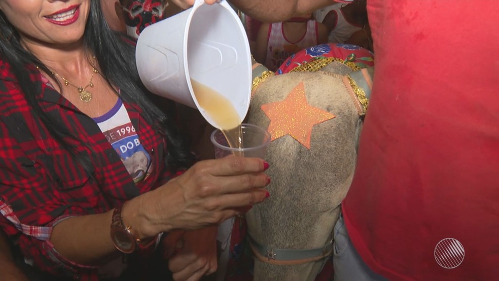 'Xixi de boi', bebida tradicional de Nilo Peçanha, na BA — Foto: Reprodução/TV Bahia