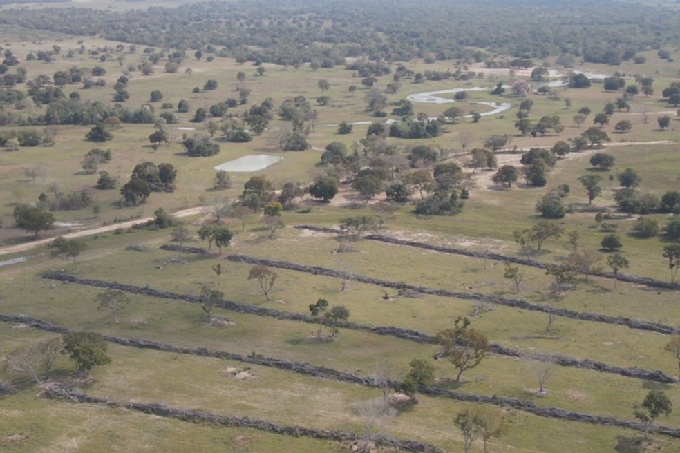 Desmatamento no Pantanal de MS cai 65% em 2025, aponta Inpe | G1