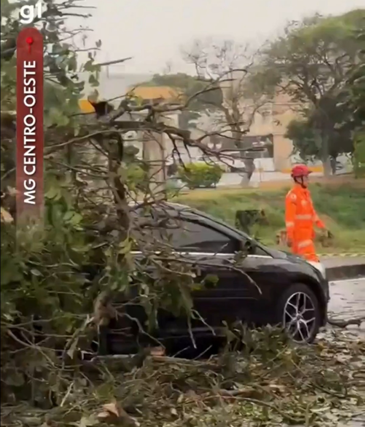 Queda de árvore deixa dois feridos e destrói ponto de ônibus durante chuva em MG