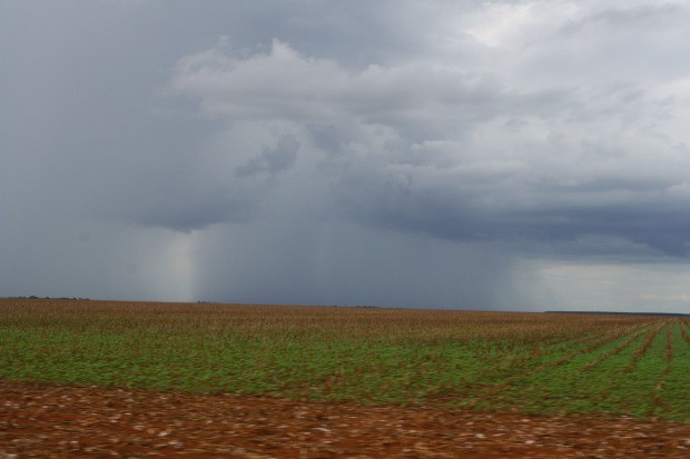 Excesso de chuva atrasa colheita de soja em algumas regiões e gera alerta a produtores de Mato Grosso