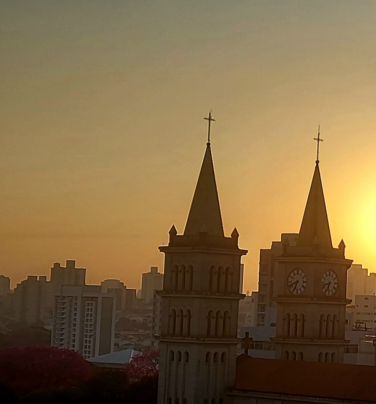 Super El Niño deve provocar ondas de calor frequentes e impactar agricultura no interior de SP: ‘Não está imune’, alertam especialistas